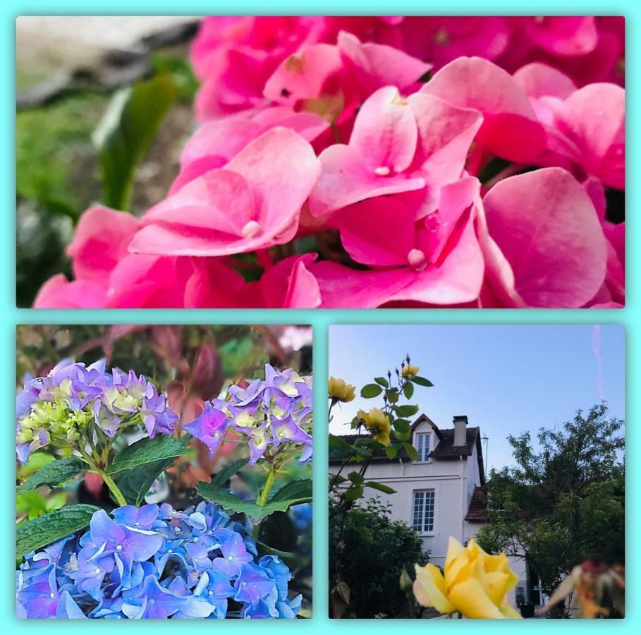 Belle Vue Terrasse Bed and Breakfast Ζιβερνί Εξωτερικό φωτογραφία